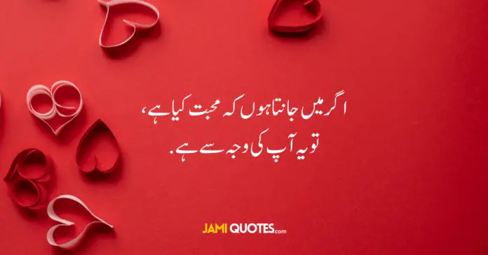 Best Love Quotes in English and Urdu (Text and Images)