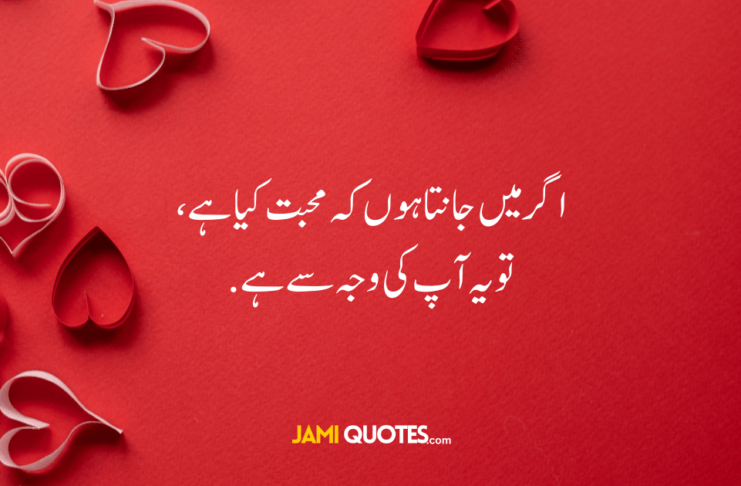 Best Love Quotes in English and Urdu (Text and Images)