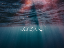 One Line Quotes in Urdu and English