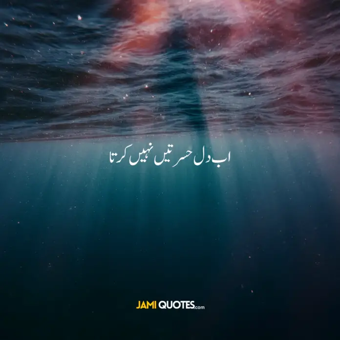 One Line Quotes in Urdu and English