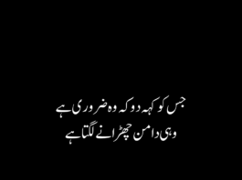 Urdu Quotes on Trust and Relationships